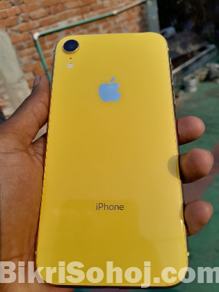 iPhone XR